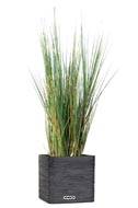 Isolepsis artificiel Gramine Herbe d'eau H 125 cm en pot