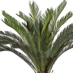 Palmier Artificiel Cycas H 130 cm en pot