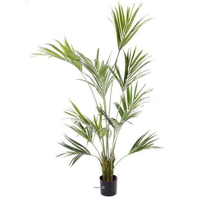 Palmier Kentia Artificiel Howea H 180 cm 192 feuilles en pot