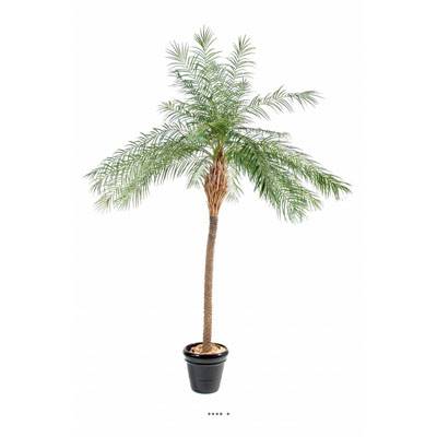 Palmier Phoenix Artificiel H 220 cm D 180 cm en pot