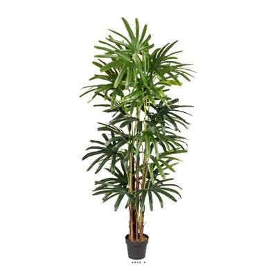 Palmier Raphis Artificiel en pot H 200 cm Vert