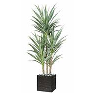 Yucca artificiel multitroncs en pot H 150 cm feuillage plastique