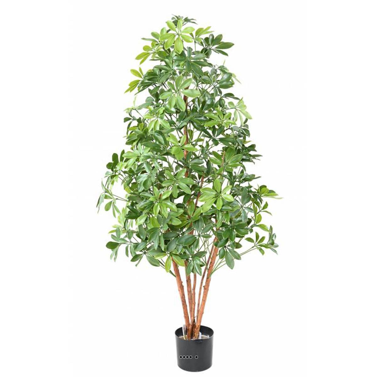 artificielles Superbe faux arbre choisya