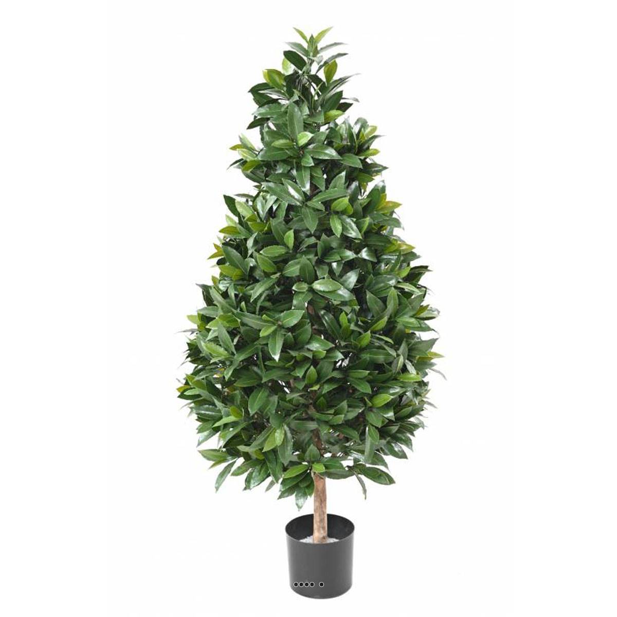 artificielles Faux laurier cône exterieur| Artificielles.com