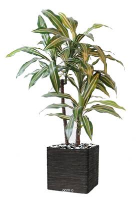 Dracaena artificiel 3 têtes H 90 cm en pot vert-jaune