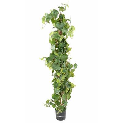Cep de vigne artificiel en pot H 200 cm