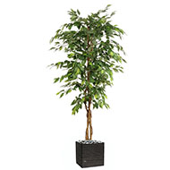 Ficus artificiel abai H 180 cm 1134 superbes feuilles Qualite Pro