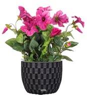 Petunia artificiel en pot H 38 cm 20 fleurs lumineux Rose soutenu