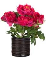 Pivoine artificielle en pot H 35 cm 4 fleurs et 2 boutons Rose fushia