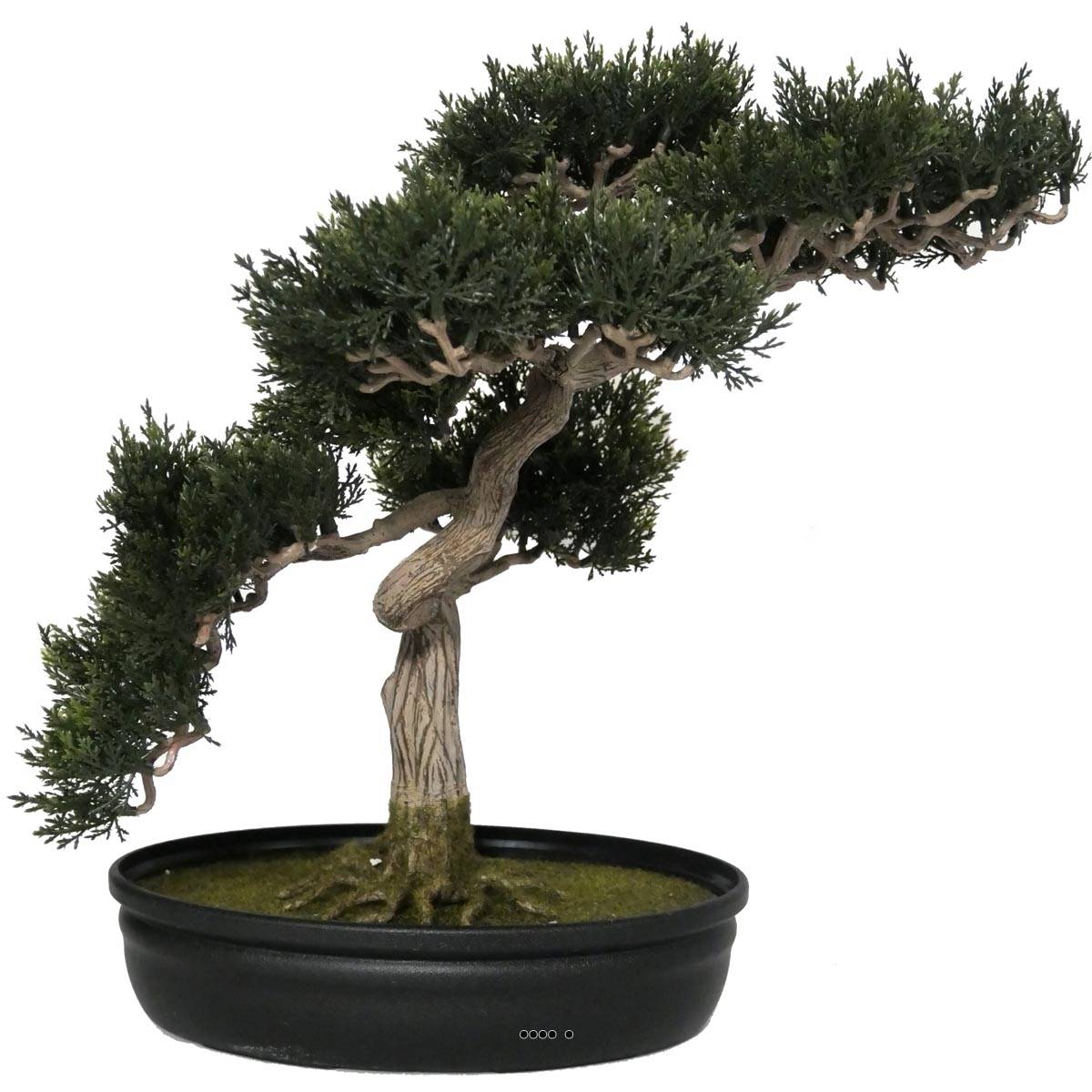 Bonsai artificiel Arbre a The 40 X 40 CM 217 feuilles