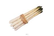 Botte d asperges artificielles vertes en Plastique soufflé L 200x20 mm