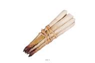 Botte d asperges artificielles rouges en Plastique soufflé L 200x20 mm