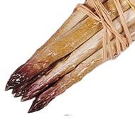 Botte d asperges artificielles rouges en Plastique soufflé L 200x20 mm