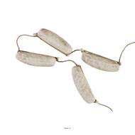 Saucisse a la ficelle 4 pieces en Plastique soufflé L 720 mm