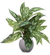 Aglaonema plante artificielle en pot H 37 cm très dense