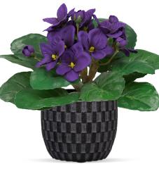 Saint Paulia artificiel en pot H 16 cm très fleuri Pourpre