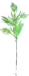 Branche de feuilles d'aponogeton factice H45cm plastique ext. Vert été