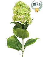 Lilas artificiel en tige, H 85 cm Crème vert - BEST