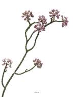 Minis fleurs colorées artificielles en branche, H 58 cm Lavande - BEST