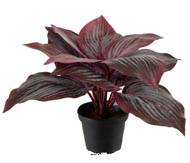 Hosta artificiel en pot H 20 cm D 30 cm Large feuille factices Rouge