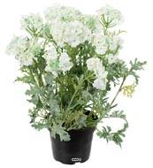 Verveine fleurie artificielle et feuillage en pot, H 28 cm Crème