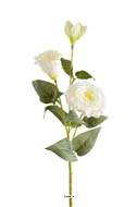 Lisianthus artificiel en tige H70cm D18cm 3 fleurs haut de gamme Crème