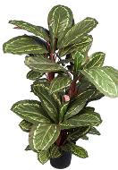 Maranta plante artificielle en pot H 104 cm très dense feuillage tissu