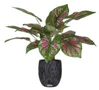 Caladium artificiel en pot H 40 cm D 50 cm Grandes feuilles tissu top