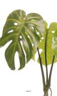 Monstera deliciosa artificielle en pot H 60 cm, D 42 cm