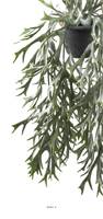 Fougère Platycerium artificielle en pot suspendu, L 35 cm, D 24 cm