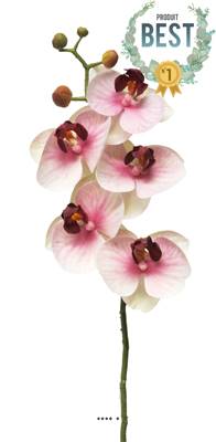 Tige orchidée phalaenopsis Factice 5 fleurons H58cm Pourpre-blanc BEST