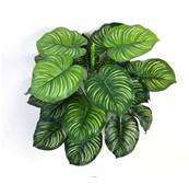 Calathea artificiel en piquet 22 feuilles, H 45 cm Vert