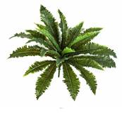 Fougère Asplenium artificielle en piquet 24 feuilles H 70 cm Vert