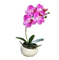 Orchidée phalaenopsis artificielle en coupe céramique H 25 cm Lavande