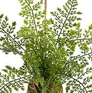 Kokedama artificiel adiantum plante suspendue H 26 cm 