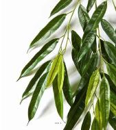 Branche de longifolia royal artificielle L 85 cm Vert 