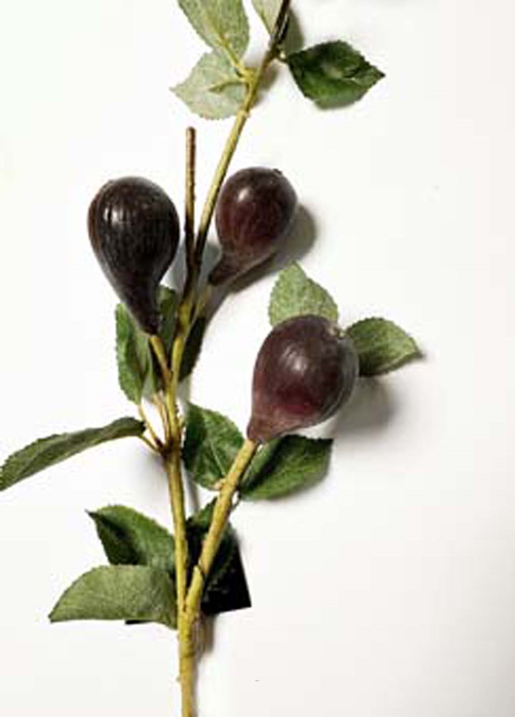 Branche de Figuier artificiel avec 3 grosses figues factice H 60 cm tres realiste