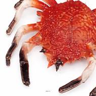 Araignee de mer artificielle en Plastique soufflé grande L 330x210 mm