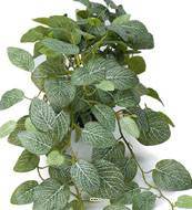 Fittonia artificiel retombant en pot, L 50 cm