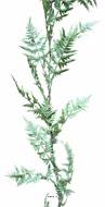 Guirlande de Fougère Plastique Verte artificielle Lg 205 cm D 23 cm 30 feuilles