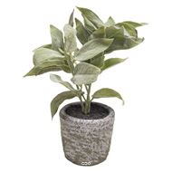 Herbe aromatique artificielle Sauge H 26cm