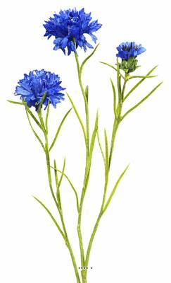 Bleuet artificiel en tige H 68 cm 3 têtes