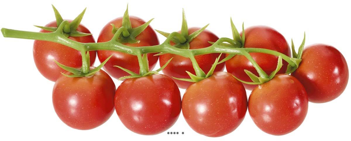 Grappe de 9 petites tomates artificielles en plastique D 20x10 cm Rouge