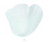 pétales de Rose artificiels x 100 Blanc avec Feuilles en tissu