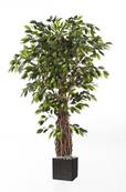 Ficus lianes artificiel luxe H 240 cm 3584 feuilles gros tronc en pot