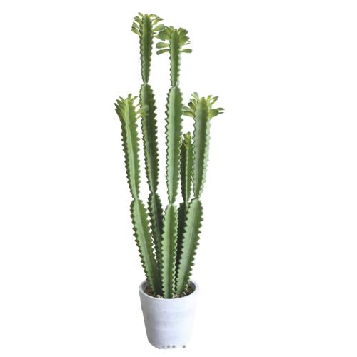 Euphorbe Trigona Succulent factice en pot béton Mousse PU H100cm Vert