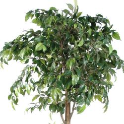 Ficus artificiel double boule H 180 cm Vert en pot