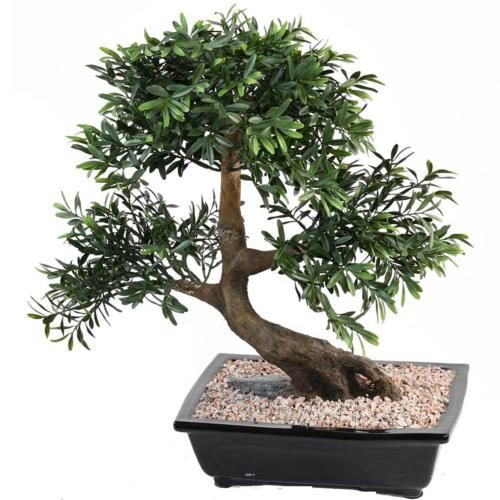 Bonsaï Saule Noir Artificiel H 50 cm D 45 cm en pot