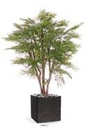 Mimosa d'hiver artificiel en pot, anti-UV, H 110 cm