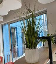 Herbe large artificielle en pot isolepsis factice H 80 cm D 30 cm Vert